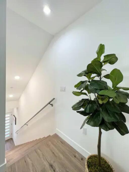 4Br Townhouse In Koreatown Los Angeles Extérieur photo